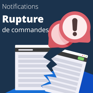 Alerte d’absence de commandes : notifications & suivi des ventes